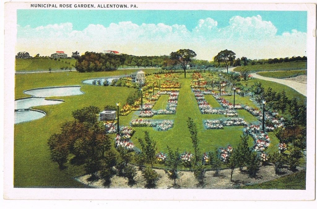 The municipal rose garden in Allentown, Pennsylvania, as depicted in 1930.
