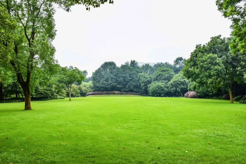 green meadow with leafy trees