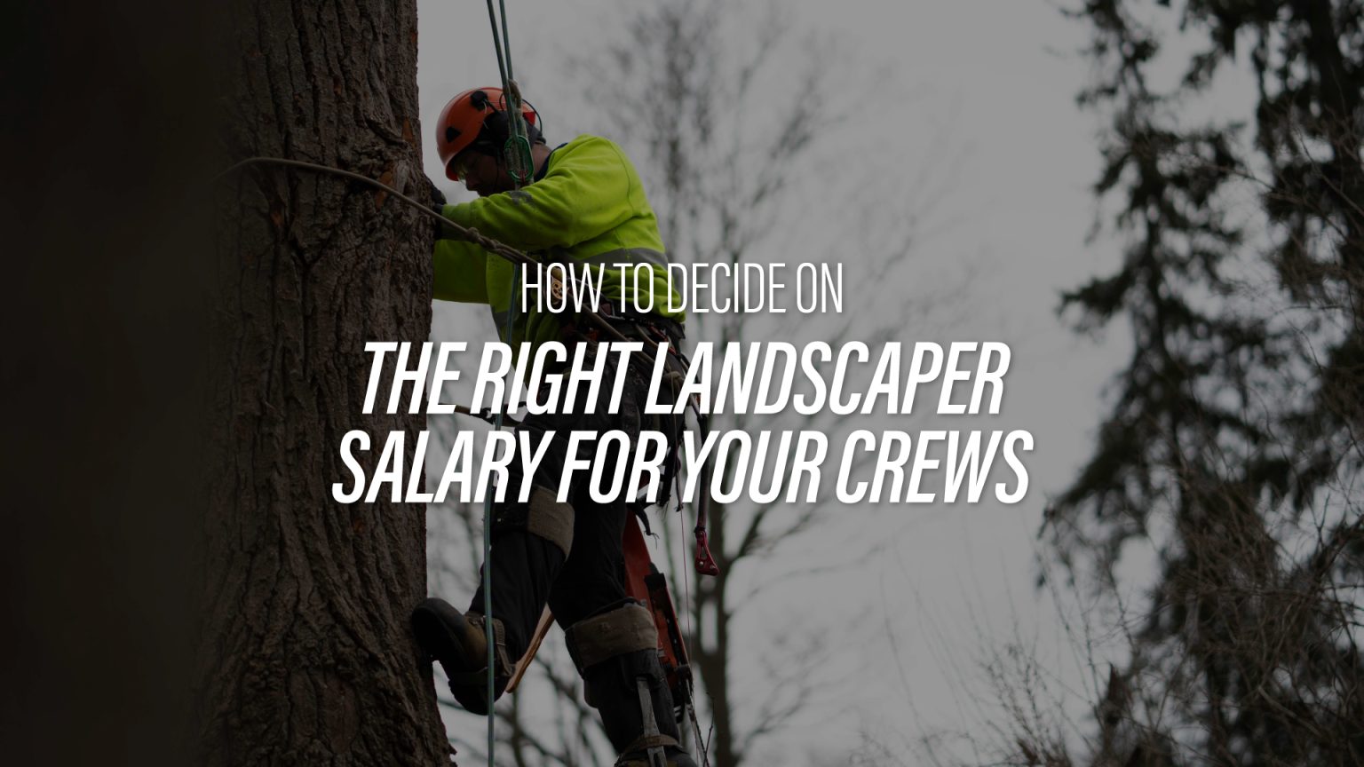 How to Pick the Right Landscaper Salary for Your Crews How to Pick the Right Landscaper Salary for Your Crews