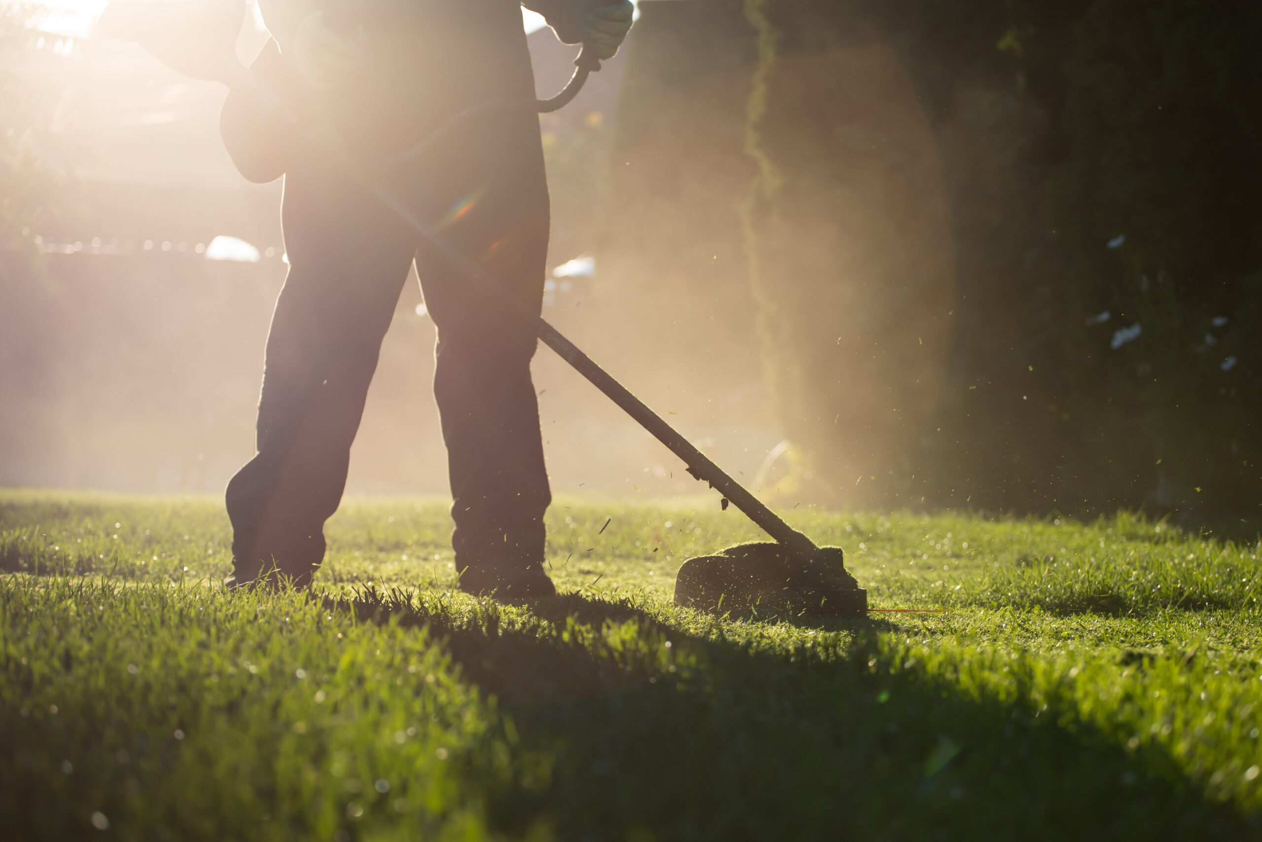 lawn mover cutting lawn